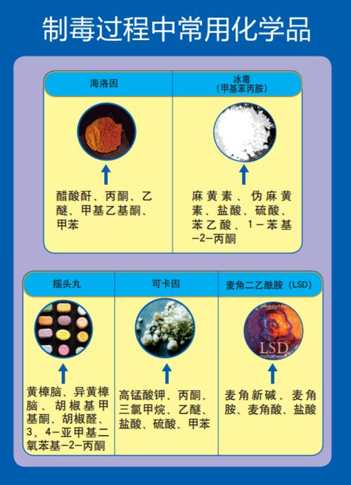 解讀易制毒化學品進出口 法規、流程與風險管理