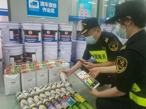 港珠澳大橋海關查獲逾1.5噸未申報?；罚螄T安全防線